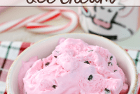 Homemade Peppermint Chip Dream