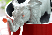Pachyderm’s Pot