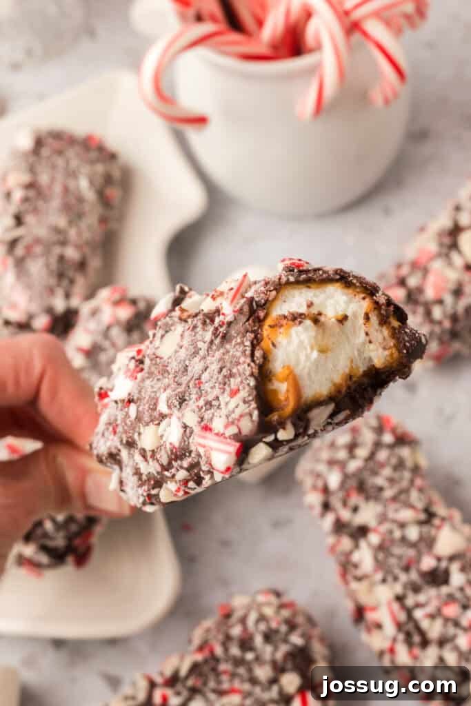 Peppermint Cloud Wands 2 A close up of a peppermint coated marshmallow wand showing a bite taken out, revealing the caramel and marshmallow center, on a festive holiday background.