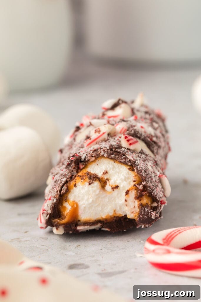 Peppermint Cloud Wands 12 A single peppermint-coated marshmallow wand, with a tantalizing bite removed, resting on a countertop alongside loose marshmallows and candy canes, highlighting its irresistible caramel and marshmallow center.