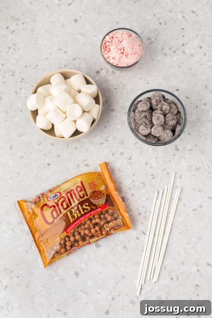 Peppermint Cloud Wands 3 Ingredients for Peppermint Marshmallow Wands laid out on a clean countertop, including a bowl of marshmallows, a bowl of finely crushed peppermints, a bowl of dark chocolate wafers, a bag of caramel bits, and several lollipop sticks.