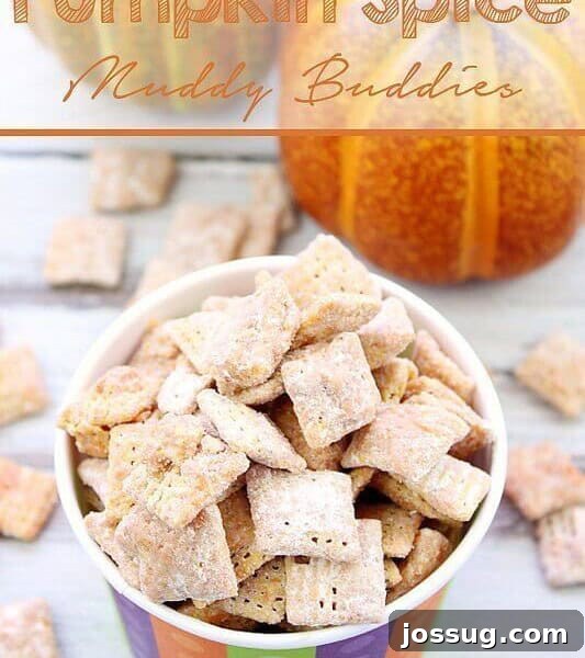 Pumpkin Spice Muddy Buddies (aka Puppy Chow)