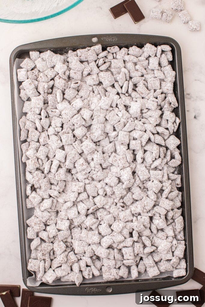 Large baking sheet lined with parchment paper covered in freshly coated Thin Mint Muddy Buddies.