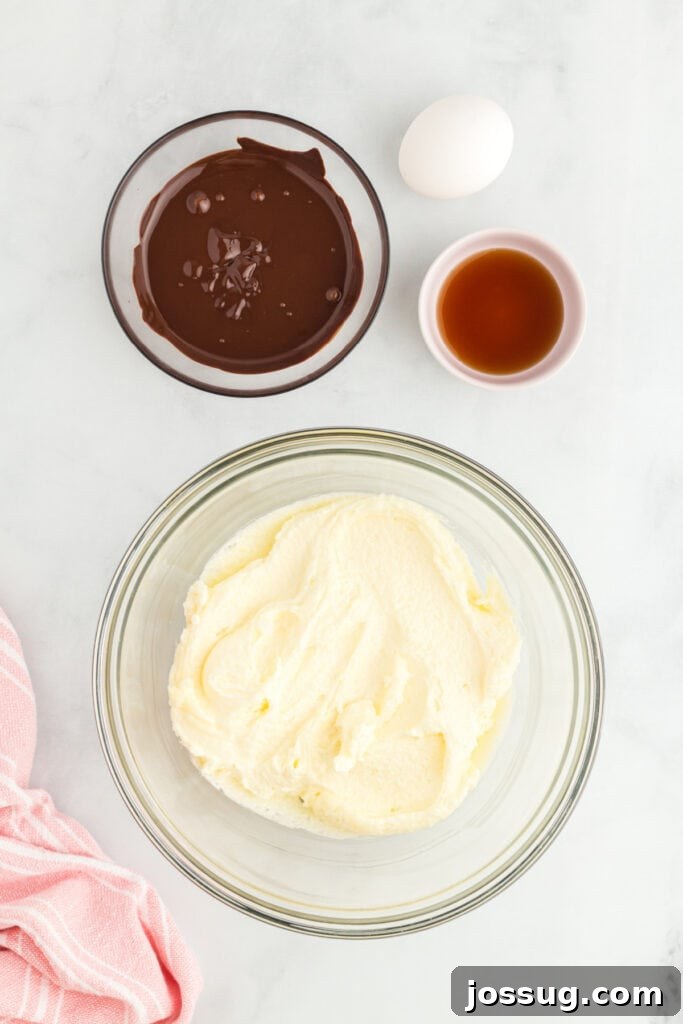 Creamed butter and sugar with melted chocolate, egg, and vanilla.
