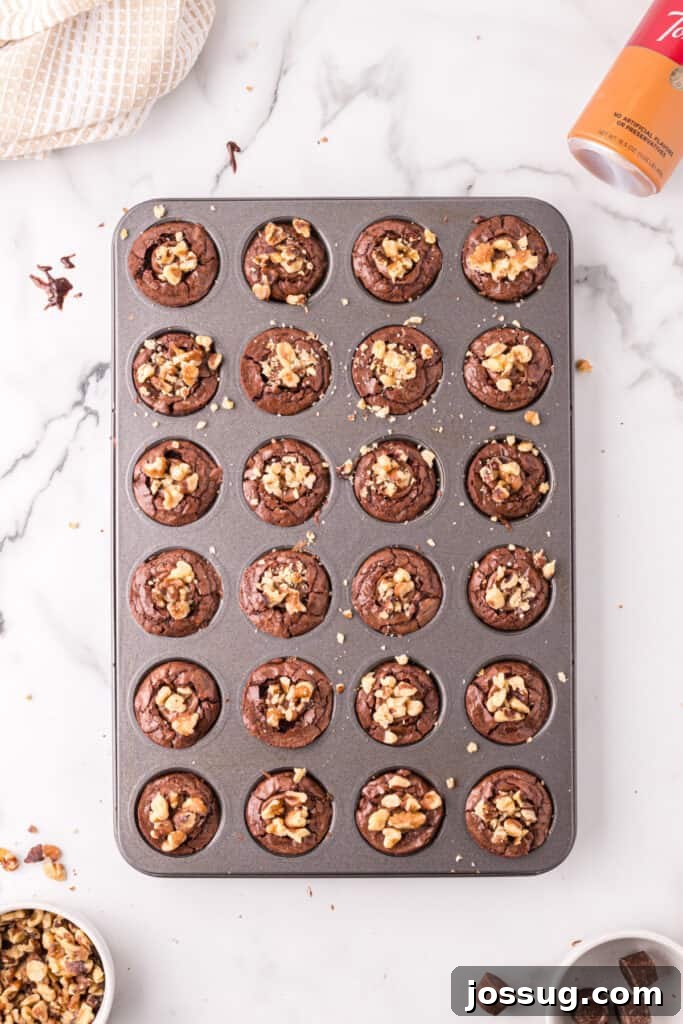 Brownie bites in the mini muffin pan topped with chopped walnuts while still warm.