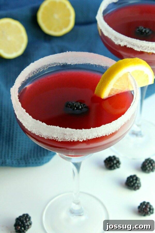 Zesty Blackberry Margarita 2 Two glasses of Blackberry Lemonade Margarita with fresh blackberries and lemon slices as garnish.