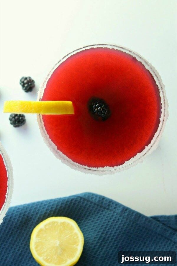 Zesty Blackberry Margarita 3 Close-up of a single Blackberry Lemonade Margarita in a glass, garnished with fresh fruit.