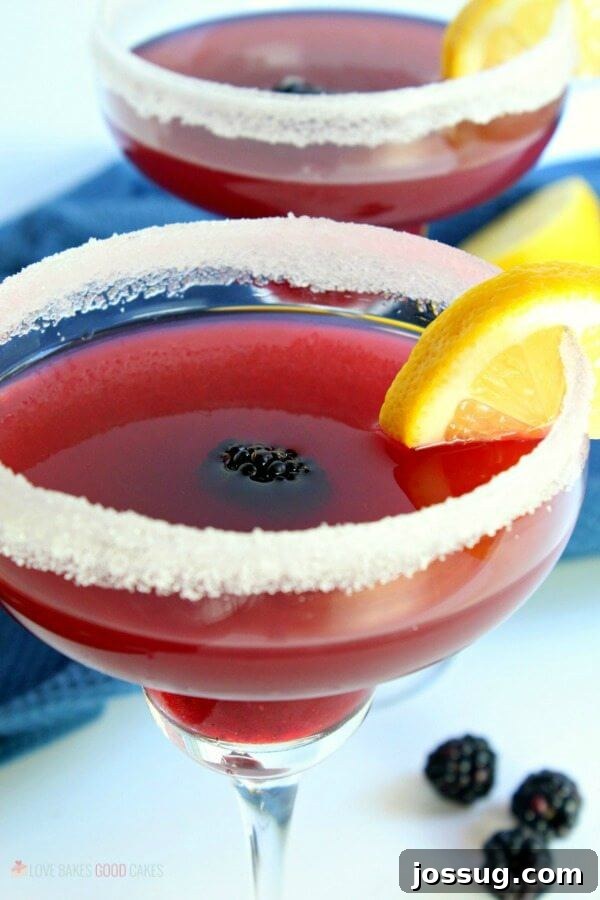 Zesty Blackberry Margarita 4 Two Blackberry Lemonade Margaritas in glasses, ready to serve, with fresh berry and lemon garnishes.
