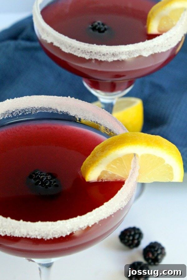 Zesty Blackberry Margarita 6 Close-up of two Blackberry Lemonade Margaritas, showing fresh fruit garnishes and the sugar-rimmed glasses.