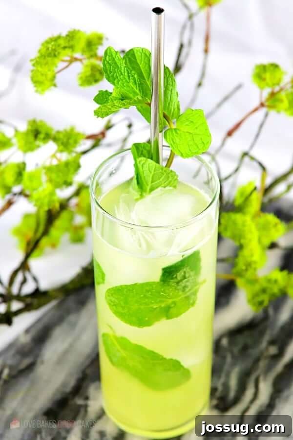 Pineapple Mojito and Virgin Nojito 12 Pineapple Mojito (with Virgin "Nojito" Option) in a glass with a straw.