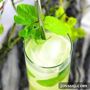 Add a tropical twist to the classic mojito with this Pineapple Mojito! This cocktail is the perfect refreshing adult beverage for summer!
