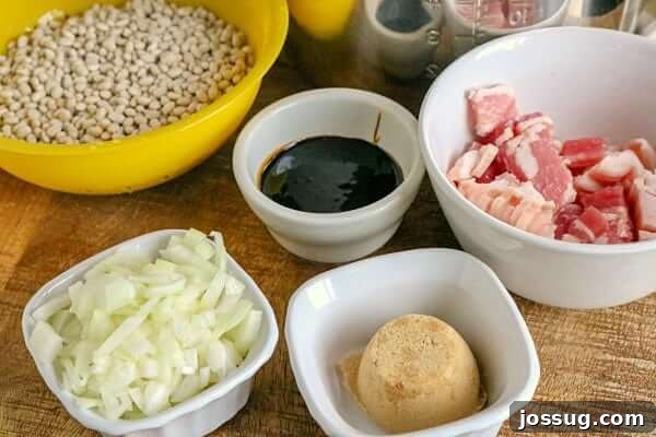 Fresh ingredients for Instant Pot Baked Beans, including navy beans, molasses, brown sugar, chopped onion, and salt pork.