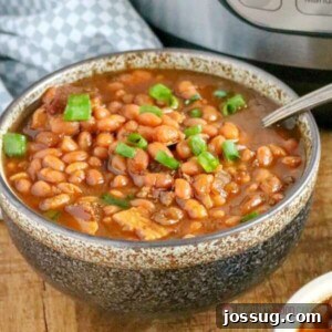 This Instant Pot Baked Beans recipe is the perfect summer side dish. These hearty and easy to make Instant Pot Baked Beans require no soaking!