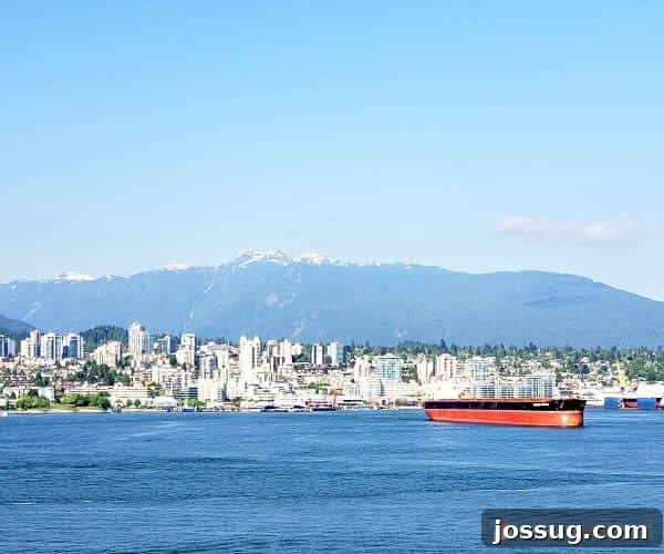 Last-Minute Cruises: Sail Sooner, Save More 8 A tranquil body of water stretches towards snow-covered mountains under a clear sky, symbolizing serenity and exploration.