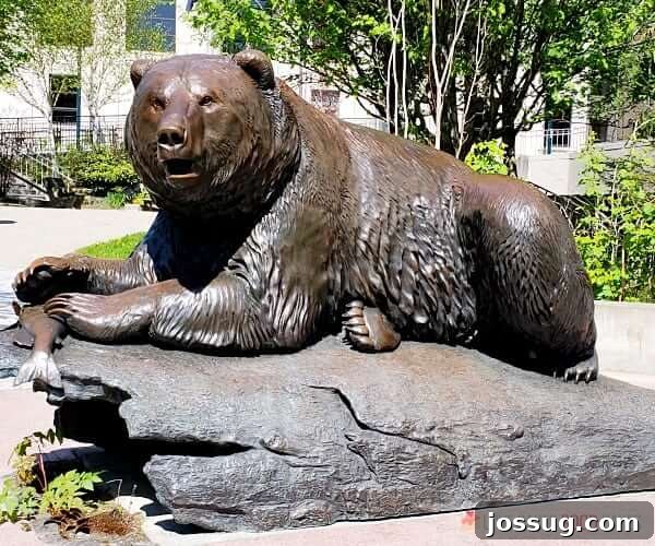 A bear statue at a museum in Juneau Alaska.