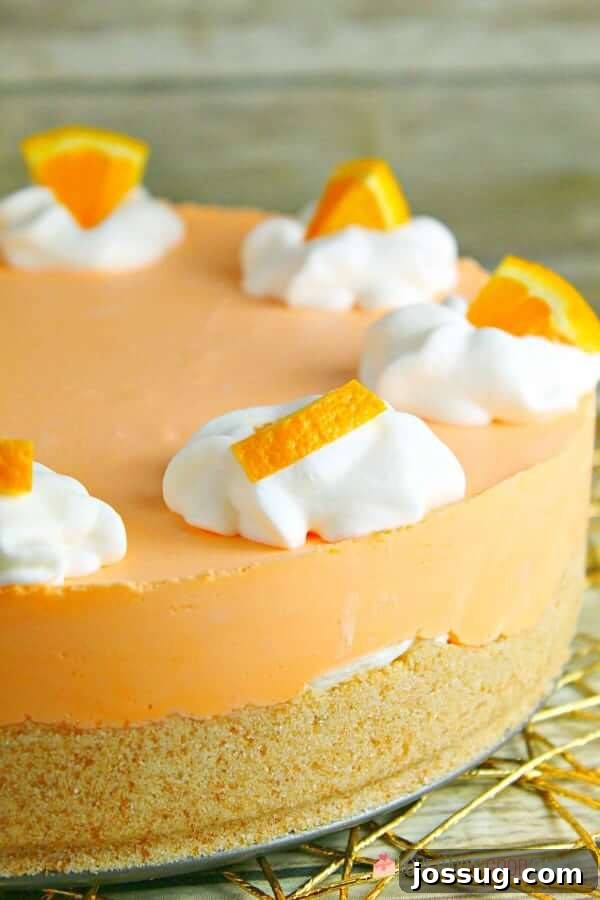 Close-up shot of the creamy texture of No-Bake Orange Creamsicle Cheesecake.