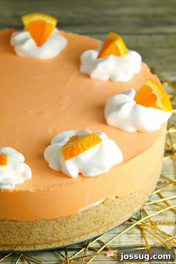The full No-Bake Orange Creamsicle Cheesecake, freshly prepared and chilling.