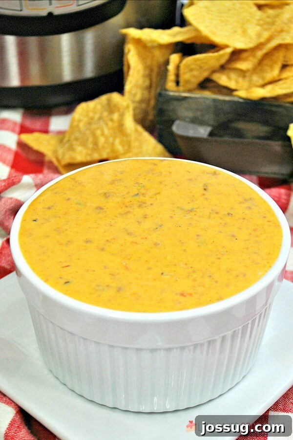 Ultimate Instant Pot Mexican Queso Dip 2 A generous serving of Instant Pot Mexican Queso in a white ceramic bowl, surrounded by crispy tortilla chips ready for dipping. The queso shows hints of seasoned beef, diced tomatoes, and green chilies, indicating its rich texture and flavor.