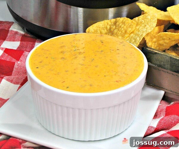 Ultimate Instant Pot Mexican Queso Dip 3 Close-up shot of Instant Pot Mexican Queso in a white bowl, ready to be served with a variety of colorful tortilla chips. The smooth and creamy texture of the melted cheese, combined with visible chunks of beef and tomatoes, makes for an appetizing display.