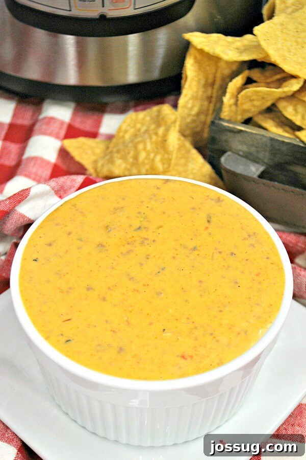 Ultimate Instant Pot Mexican Queso Dip 9 A large serving bowl filled with Instant Pot Mexican Queso, garnished with fresh cilantro leaves, prominently displayed with a generous pile of crispy tortilla chips. The dip looks incredibly rich, inviting, and ready for a party.