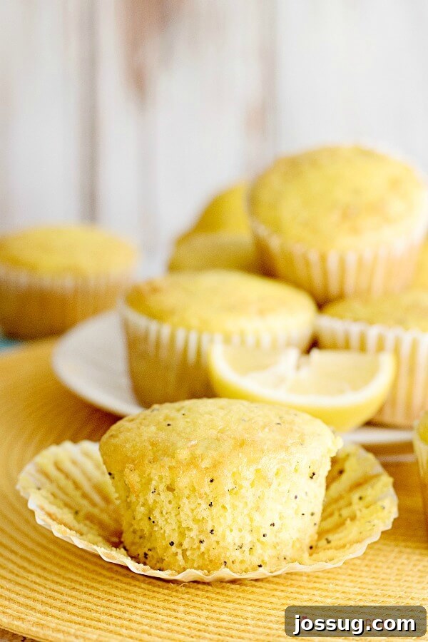 Freshly baked Lemon Poppy Seed Muffins on a cooling rack, showcasing their golden tops and tender texture, ready to be enjoyed.