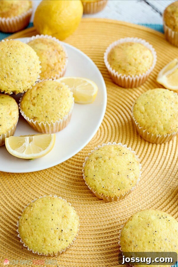 A tempting stack of Lemon Poppy Seed Muffins on a pristine white plate, accompanied by fresh lemon slices, highlighting their inviting appearance and zest.