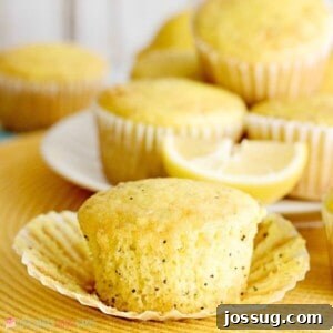 Lightly sweet with a burst of lemon flavor, these moist and tender Lemon Poppy Seed Muffins are great for breakfast or brunch.