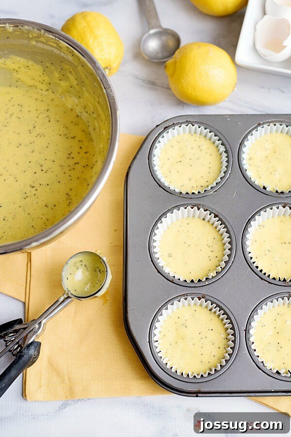 Lemon Poppy Seed Muffin batter being carefully scooped into white cupcake liners nestled in a muffin baking pan, ready for the oven.