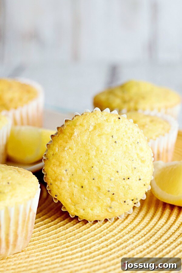 A close-up view of a perfectly baked Lemon Poppy Seed Muffin, showcasing its moist crumb, visible poppy seeds, and golden-brown top, inviting a bite.