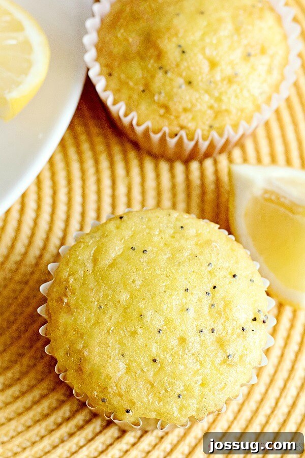 A close-up shot of a single Lemon Poppy Seed Muffin on a serving plate, showing its delicate glaze drizzled over the top and inviting texture, ready to be eaten.