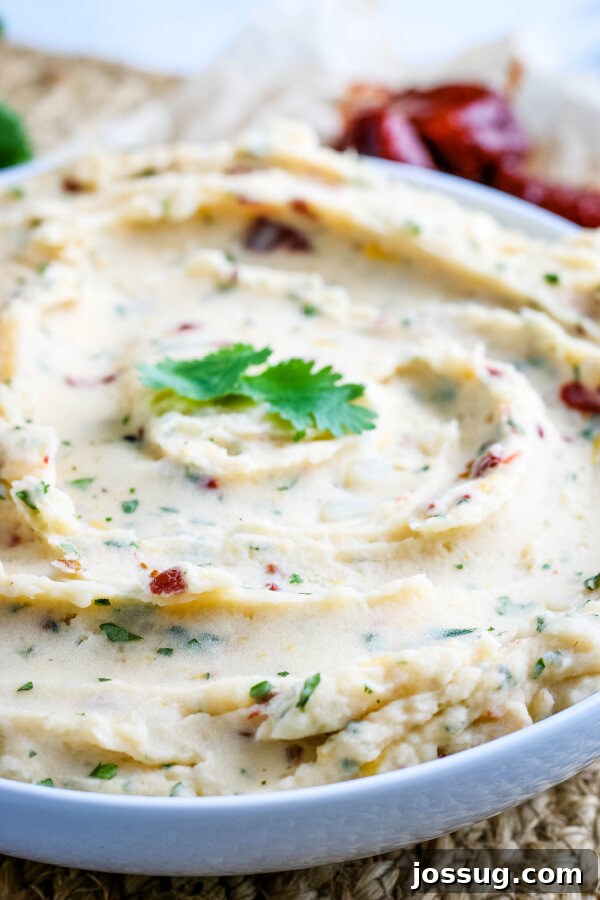 Smoky Cheddar Chipotle Mash 5 Close-up shot of a single serving of Chipotle Cheddar Mashed Potatoes in a white bowl, highlighting the creamy texture and melted cheese.