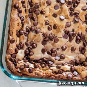 A mouth-watering slice of Triple Chocolate Ooey Gooey Butter Cake, showcasing its gooey center and chocolate layers.