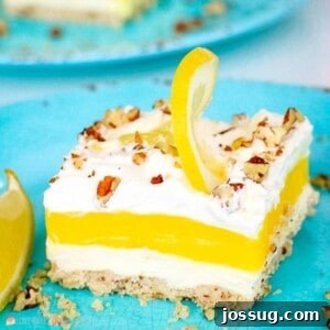 An overhead shot of the entire Lemon Lush Delight dessert in a baking pan, ready to be served.