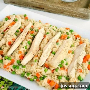 Slow Cooker Chicken and Rice casserole dish.