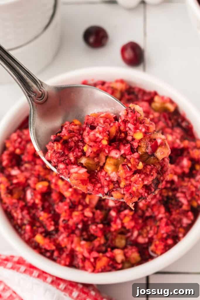 Cranberry Burst 18 Close-up of a spoonful of cranberry relish lifted from the bowl, showing the chunky texture with cranberries, apples, and nuts.