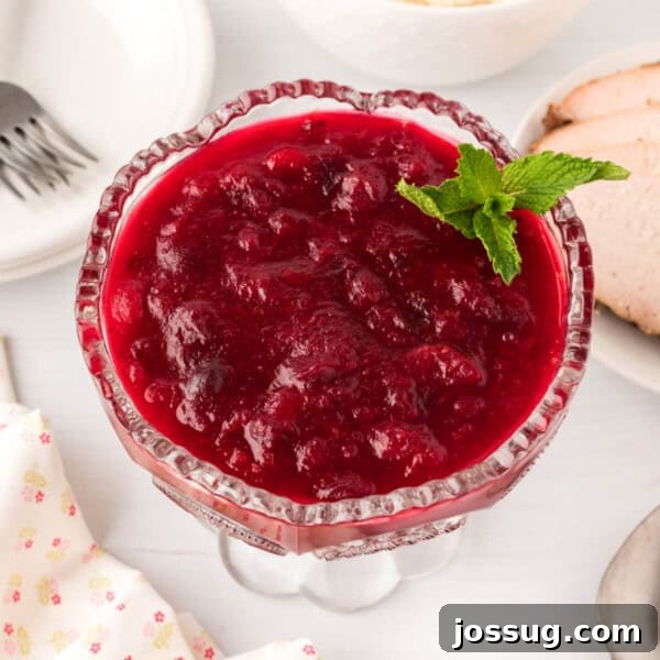 cranberry sauce garnished with mint