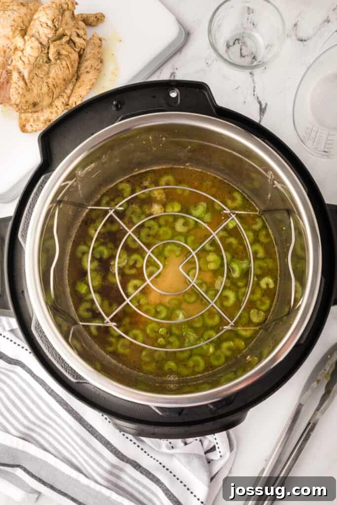 Instant Pot with celery and broth inside, showing the metal trivet in place before adding the turkey.