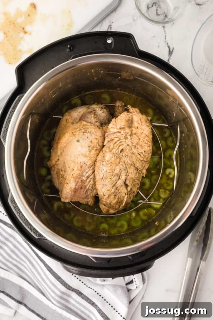 Seared turkey breast resting on trivet inside the Instant Pot over broth and celery, ready to cook under pressure.
