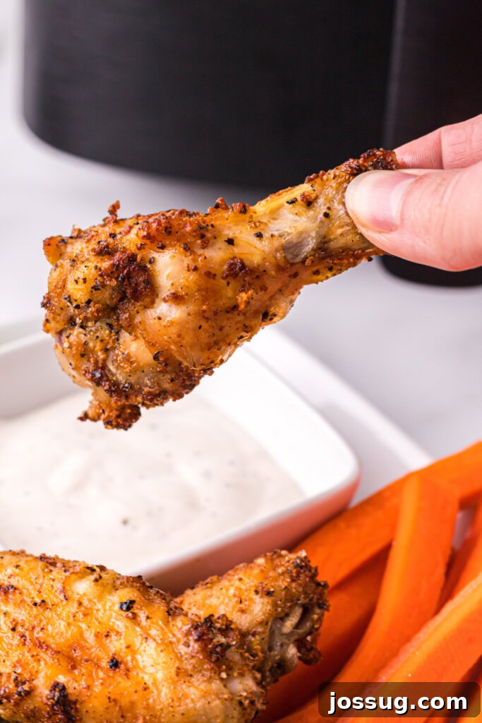 A hand holding a perfectly cooked and seasoned air fryer chicken wing, ready to be enjoyed.