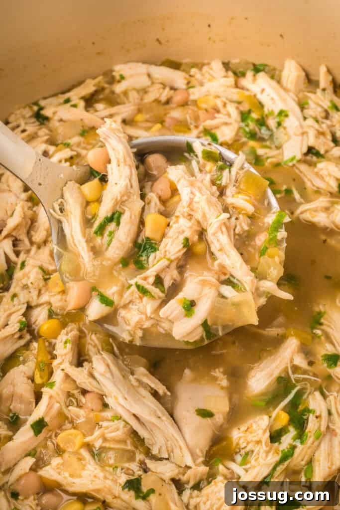 Hearty White Chicken Chili 12 Close-up of a ladle scooping creamy White Chicken Chili with chicken, corn, beans, and cilantro.