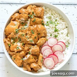 A delicious bowl of Instant Pot Butter Chicken with rice and fresh cilantro.