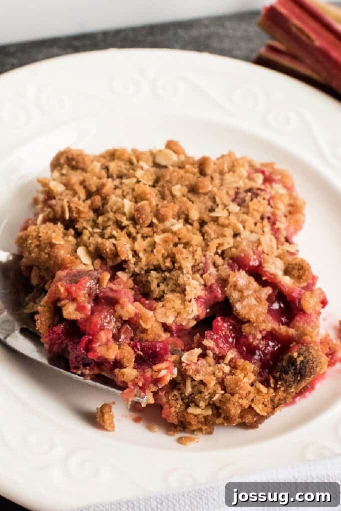 Rustic Rhubarb Crumble 2 An inviting angled view of a slice of warm rhubarb crisp on a plate, showcasing its golden-brown oat topping and the luscious, ruby-red rhubarb filling beneath.