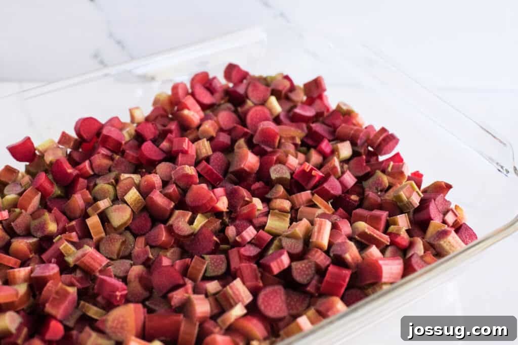 Rustic Rhubarb Crumble 4 Freshly chopped rhubarb evenly spread out in a clear glass baking dish, forming the vibrant base of the crisp.