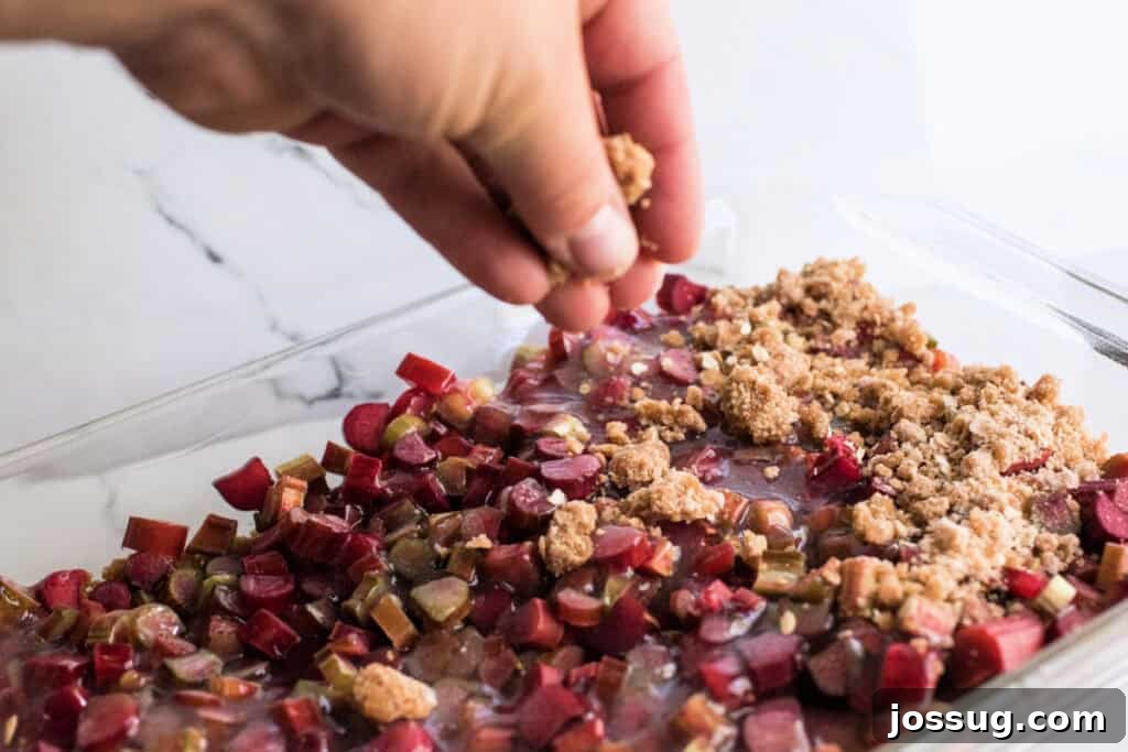 Rustic Rhubarb Crumble 6 A hand gently sprinkling the prepared oat crumble mixture evenly over the sauced rhubarb in a baking dish, creating the iconic crisp topping.