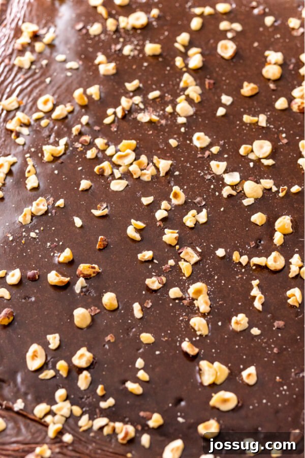Lone Star Chocolate Slab 5 Chopped hazelnuts sprinkled over a freshly frosted Texas Sheet Cake