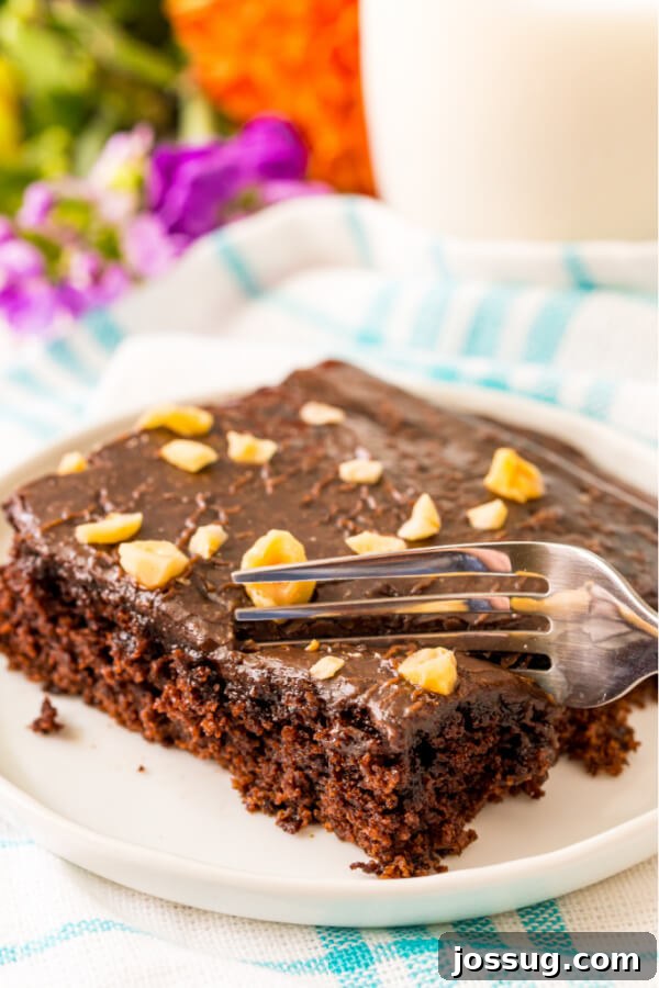 Lone Star Chocolate Slab 7 Fork cutting into a slice of moist chocolate cake with fudgy frosting