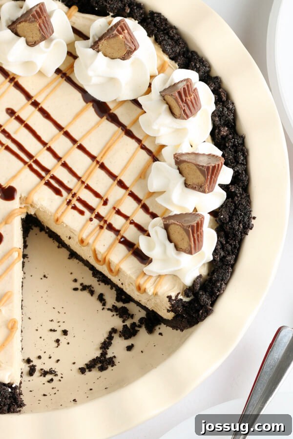 A beautifully presented, finished No-Bake Peanut Butter Pie with a perfect slice removed, showcasing the decadent layers of creamy filling and crunchy chocolate crust.
