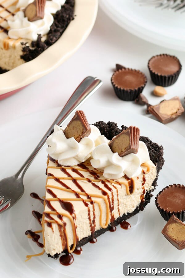 A pristine slice of No-Bake Peanut Butter Pie, beautifully garnished and presented on a white plate, symbolizing the perfect end to any meal.