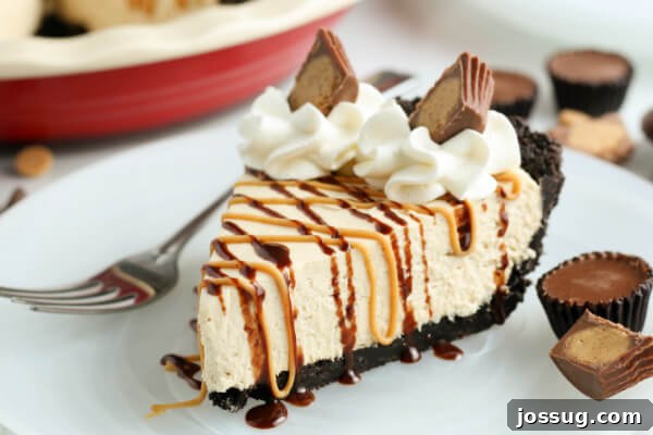 Another appealing shot of a slice of No-Bake Peanut Butter Pie on a plate, highlighting its smooth texture and appetizing appearance.