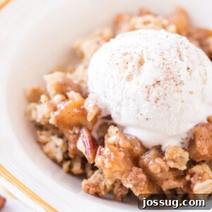 closeup apple crumble in bowl with ice cream